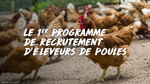 Nikita pour Cocorette – « Campagne Poule Emploi »