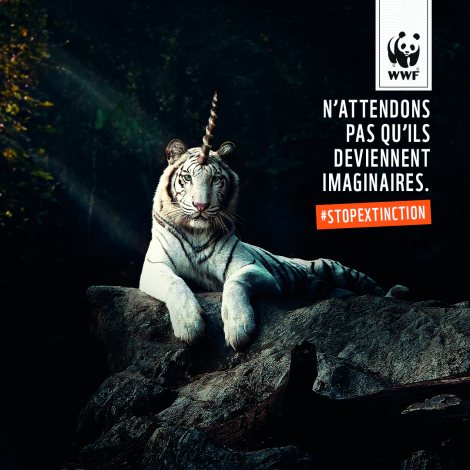 Integer et Hopening pour WWF – « #StopExtinction »