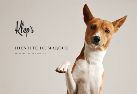 Bénéfik pour Kleps.com – Kleps.com