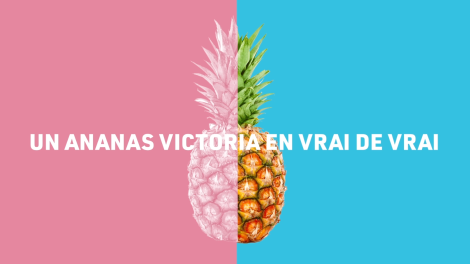 Isoskele pour l’île de la Réunion Tourisme – « Retargeting Experience by La Réunion »