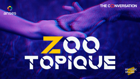 Moustic Studio pour Anses (Agence nationale de sécurité sanitaire de l’alimentation, de l’environnement et du travail) – « Zootopique »