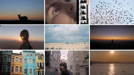 Onirim pour Chloé – « Nomad Stories »