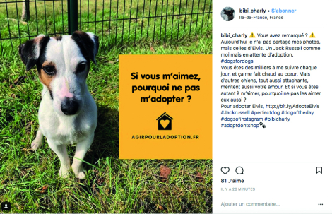 CLM BBDO pour Pedigree France – « Dogs for dogs »