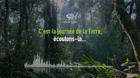 bearideas pour Suez – « Hear the Earth »