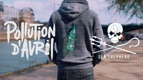 Azilis pour Sea Shepherd – « Pollution d’avril »
