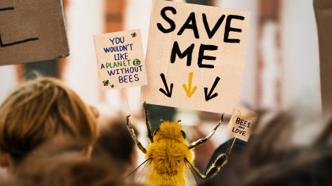 Publicis Conseil pour Fondation de France – « Bee_nfluencer »