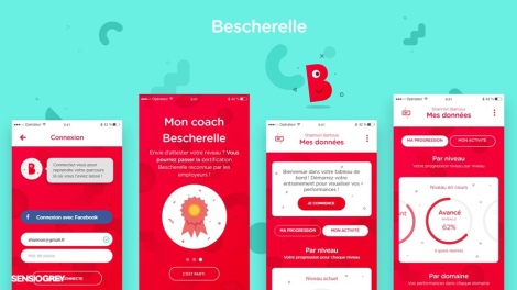 SensioGrey pour Bescherelle