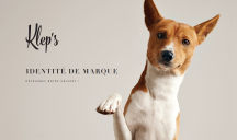 Bénéfik pour Kleps.com – Kleps.com