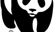 Joosnabhan pour WWF France – WWF France - Langage de marque