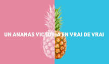 Isoskele pour l’île de la Réunion Tourisme – « Retargeting Experience by La Réunion »