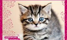 Miaou – « Miaou, la revue pour ronronner de bonheur »