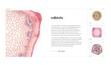 Havas Health & You pour Valbiotis – « The Evidence-based plant medicine. »