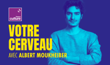 France Culture – « “Votre Cerveau”, saison 1 : la perception de la réalité, avec Albert Moukheiber »