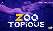 Moustic Studio pour Anses (Agence nationale de sécurité sanitaire de l’alimentation, de l’environnement et du travail) – « Zootopique »