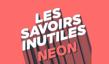Prisma Media - Pôle Premium – « Neon, Les savoirs inutiles » 