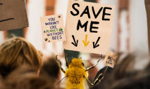Publicis Conseil pour Fondation de France – « Bee_nfluencer »